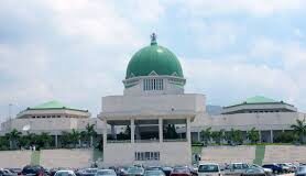 The National Assembly, NASS
