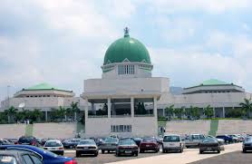 The National Assembly, NASS