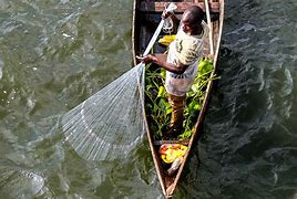 Nigeria Loses $70m To Illegal Fishing Annually