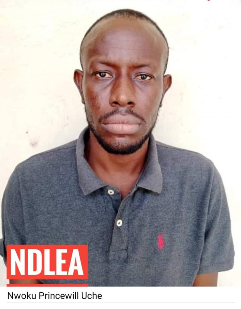 Nwoku Princewell Uche, Jihadist Drug Trafficker