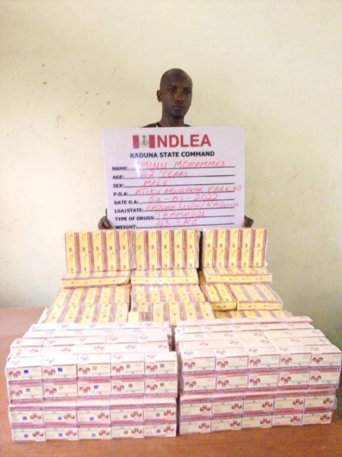 Seized Tramadol