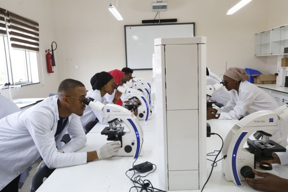 Students In A Medical Laboratory