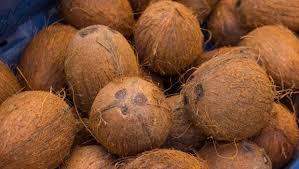 Nigeria Targets $22bn From Global Coconut Market<br />
<b>Deprecated</b>: strip_tags(): Passing null to parameter #1 ($string) of type string is deprecated in <b>/var/www/vhosts/economicconfidential.com/httpdocs/wp-content/themes/Newspaper/loop-single.php</b> on line <b>60</b><br />
Nigeria Targets $22bn From Global Coconut Market