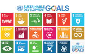 Organisation Seeks Partnership to Accelerate SDGs Action-plan, Policies in Nigeria