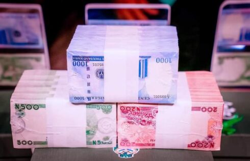 The new naira notes