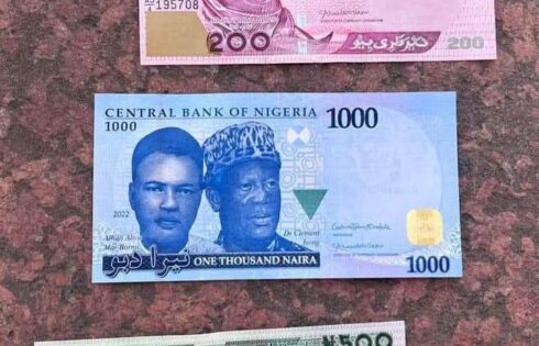 The redesigned N200, N1000 and N500 naira notes