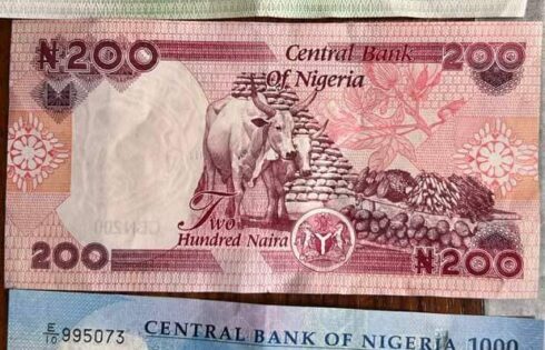 The new naira notes
