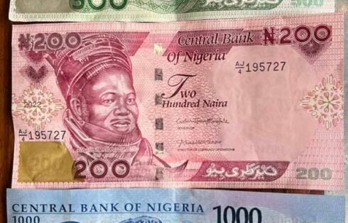 The new naira notes