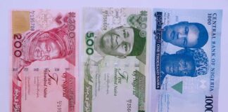 The New Naira Notes