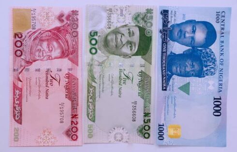 The new naira notes