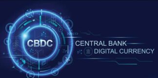 Central Bank Digital Currency