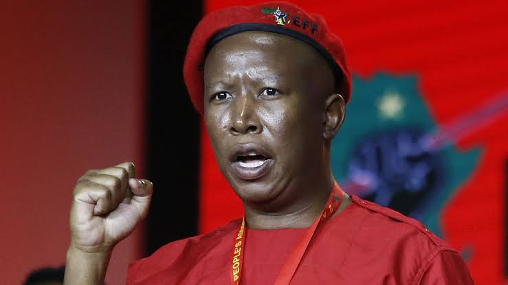 Julius Malema