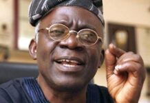 Femi Falana, SAN