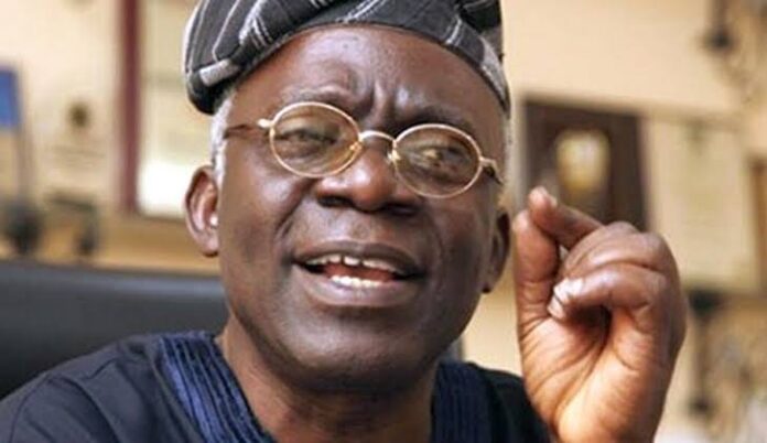 Femi Falana, SAN