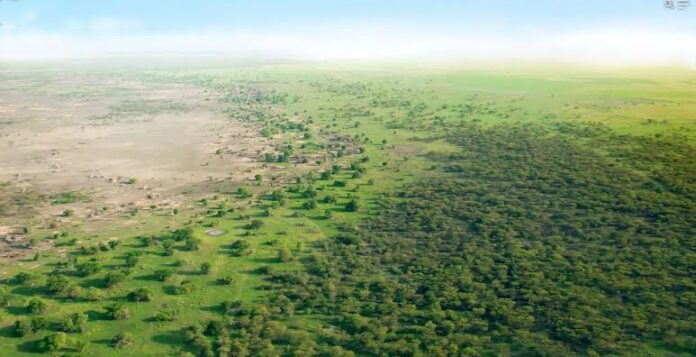 Great Green Wall Project