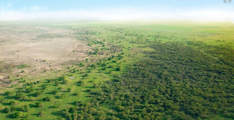 The Success Story of Nigeria’s Great Green Wall Project<br />
<b>Deprecated</b>: strip_tags(): Passing null to parameter #1 ($string) of type string is deprecated in <b>/var/www/vhosts/economicconfidential.com/httpdocs/wp-content/themes/Newspaper/loop-single.php</b> on line <b>60</b><br />
The Success Story of Nigeria’s Great Green Wall Project