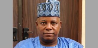 Vice President of Nigeria, Kashim Shettima