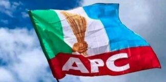 APC Logo