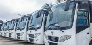 CNG Buses LSM