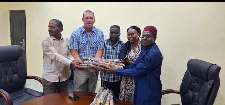 (R-L) The Director/ Interim Coordinator of the Nigeria Sugar Institute (NSI), Dr. Abiodun O. Adeyemo, the Assistant Head of Field Operations, Enahoro-Ofagbe Faith, the Acting Head of Field Operations, Omoleye Wonsebolatan, the Agric Manager of Golden Sugar Company (GSC), Mr Herman Smith, and the GSC Agronomist, Mr. M. Venkat, when the NSI presented seed cane to the GSC for multiplication in the 2024/2025 planting season.