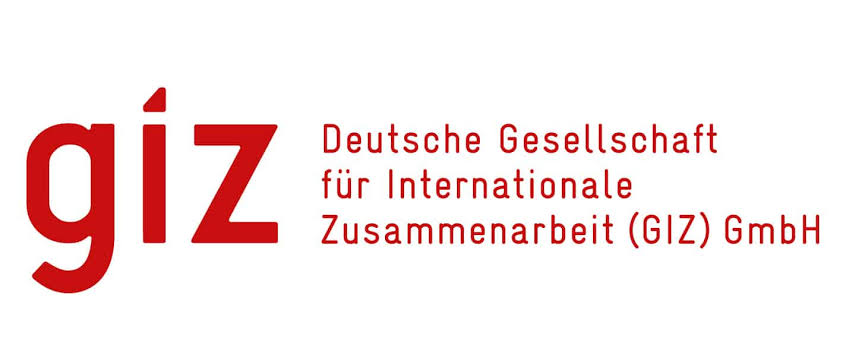 Deutsche Gesellschaft für Internationale Zusammenarbeit (GIZ)