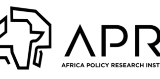 Africa Policy Research Institute (APRI)