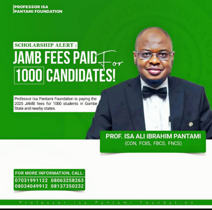 Prof Isa Ali Pantami Foundation