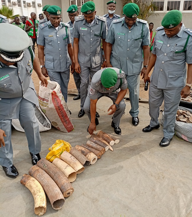 Customes officers inspecting seized animal parts