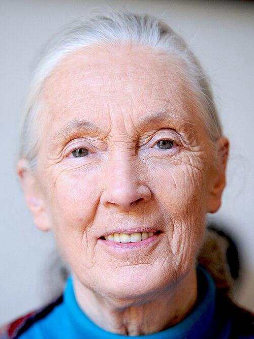 Dame Jane Goodall