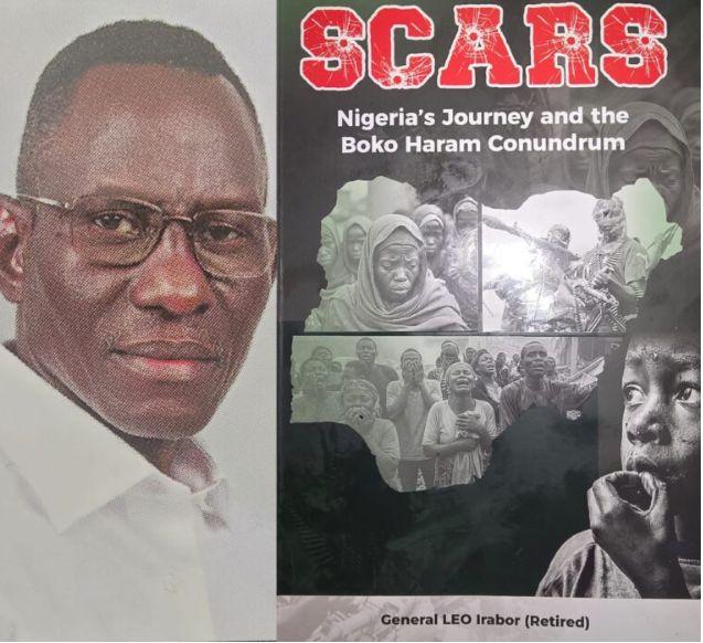 irabor's book on Boko Haram